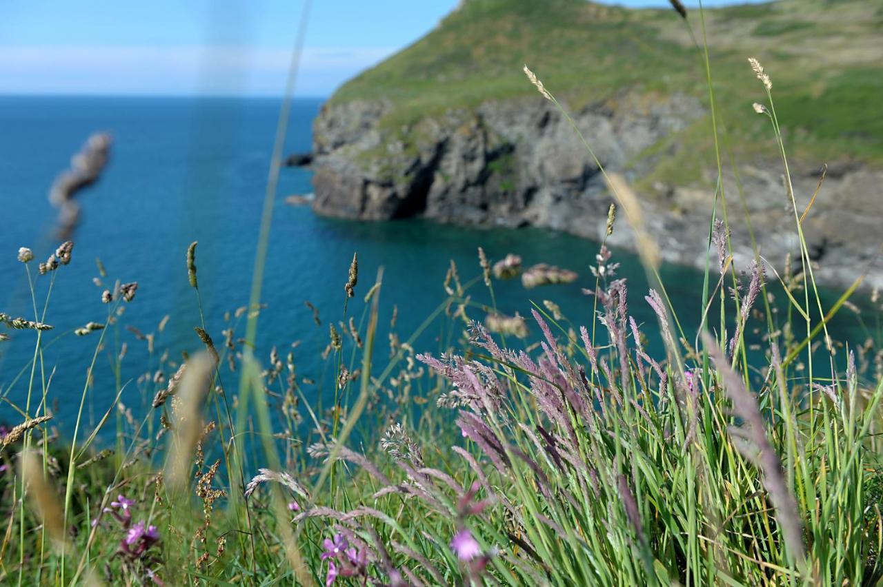 Tranquil Cornish Retreat Close To Port Isaac Beaches And Moor 博德明 外观 照片