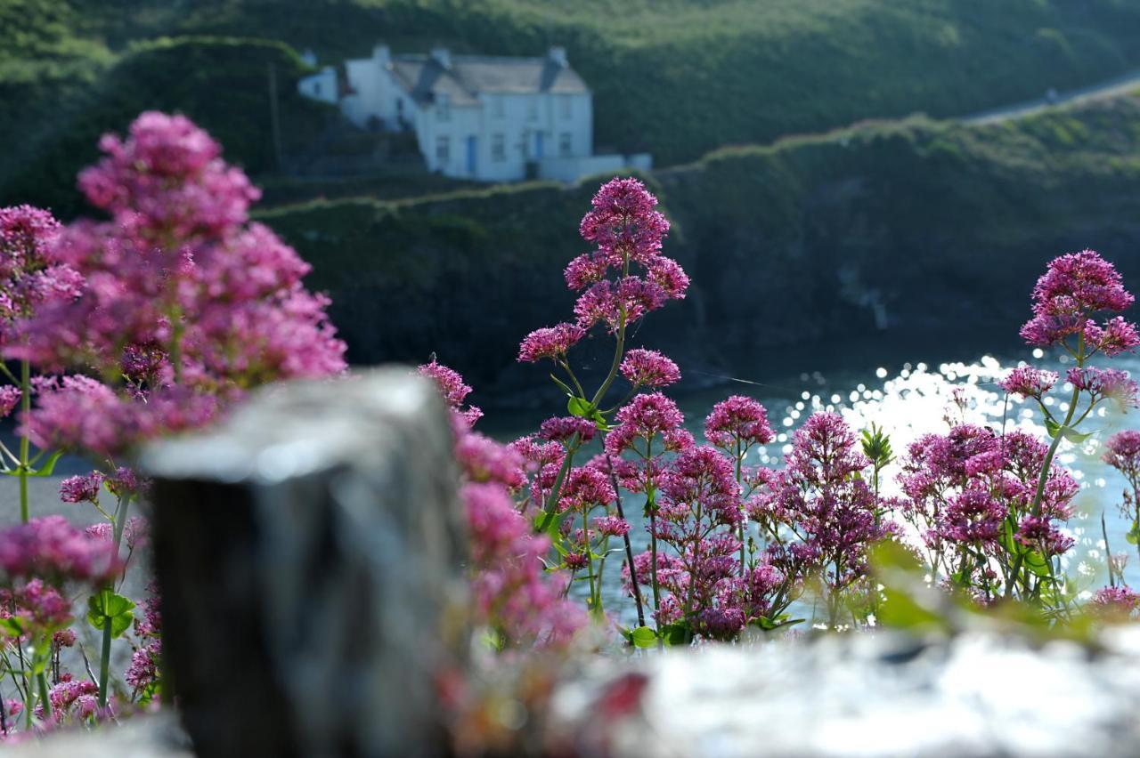 Tranquil Cornish Retreat Close To Port Isaac Beaches And Moor 博德明 外观 照片